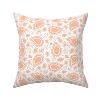 Medium Scale Playful Paisley Pantone Peach Fuzz Color of The Year 2024