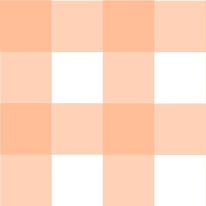 Large Scale Gingham Checker Peach Fuzz Pantone Color of The Year 2024