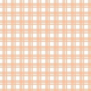 Small Scale Peach Fuzz Plaid Pantone Color of The Year 2024