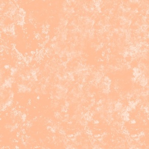 Peach Fuzz Grunge Pantone Color of The Year 2024