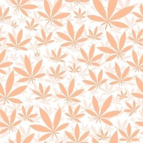 Medium Scale Marijuana Cannabis Leaves in Pantone Peach Fuzz 2024 Color of The Year