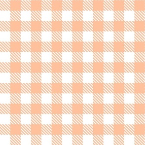 Smaller Scale Basic Checker in Pantone Peach Fuzz Color of The Year 2024