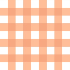 Peach fuzz gingham 2" square, pantone 2024 color of the year