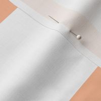 Peach fuzz gingham 4" square, pantone 2024 color of the year