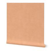 Peach Fuzz / light salmon with fine linen texture - solid color with texture