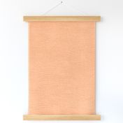 Peach Fuzz / light salmon with fine linen texture - solid color with texture