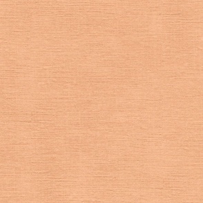 Peach Fuzz / light salmon with fine linen texture - solid color with texture
