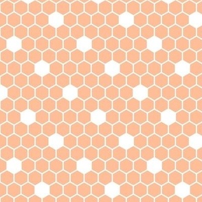 Smaller Scale Hexagon Daisy Tiles Peach Fuzz Pantone Color of The Year 2024