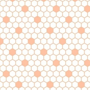 Smaller Scale Hexagon Daisy Tiles Peach Fuzz Pantone Color of The Year 2024