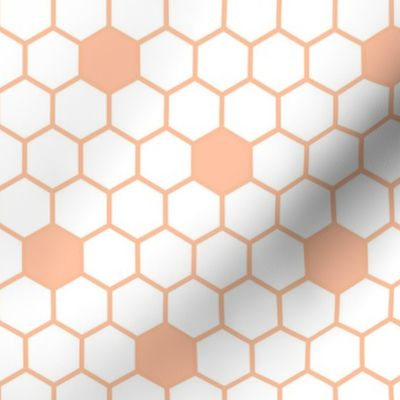 Bigger Scale Hexagon Daisy Tiles Peach Fuzz Pantone Color of The Year 2024