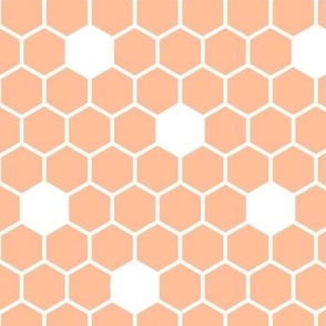 Bigger Scale Hexagon Daisy Tiles Peach Fuzz Pantone Color of The Year 2024