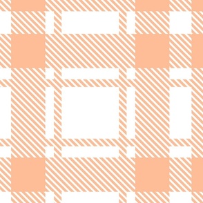 Peach fuzz pantone color of the year 2024 plaid large scale