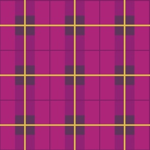 Pink checkered with yellow stripes