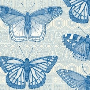 butterflies cobalt