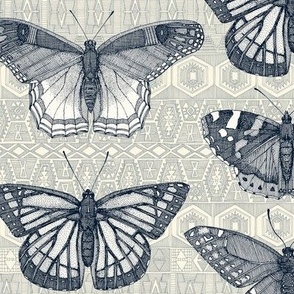 butterflies indigo