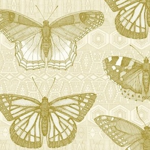 butterflies olivine