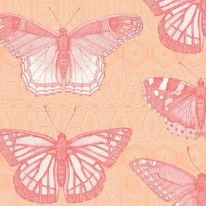 butterflies peach fuzz