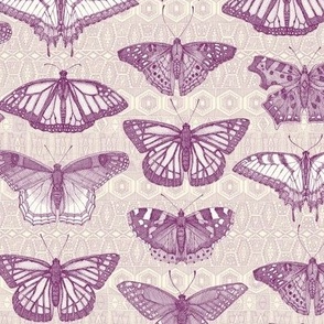 butterflies purple small