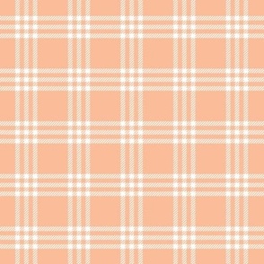 Peach Fuzz Plaid Check Pantone 2024 Color of the Year