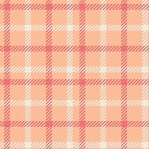 Peach Fuzz Plaid Pantone 2024 Color of the Year 