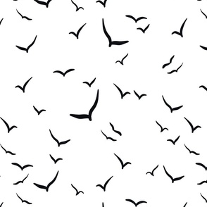 birds black and white 