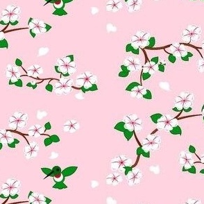 Cherry Blossoms Pink