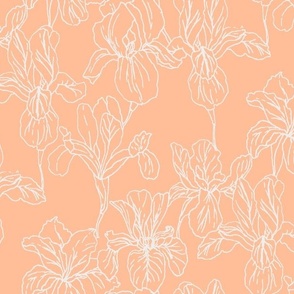 Peach Fuzz colour of the year 2024 iris flower