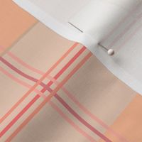 Pantone 2024 color of the year - peach fuzz and friends
