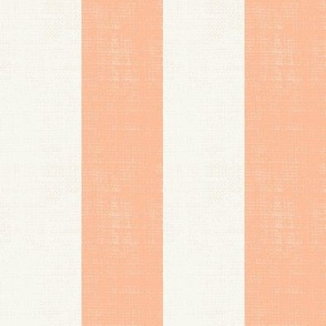 Basic Stripes (2" Stripes) - Pantone Peach Fuzz and White  (TBS216)