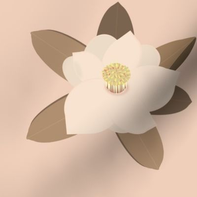 Pantone 2024 - magnolia  