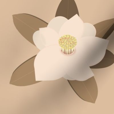 Pantone 2024 - magnolia 2 
