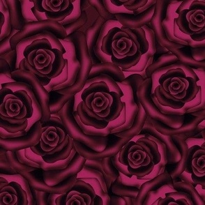 Dark red burgundy roses