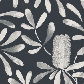 Medium  Watercolor Australian Native Coast Banksia in Dulux Limed White Quarter with Oolong Dark Grey Background