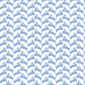 bunny hop/blue on white /small