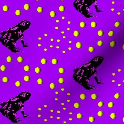 Mesmerizing Frogs