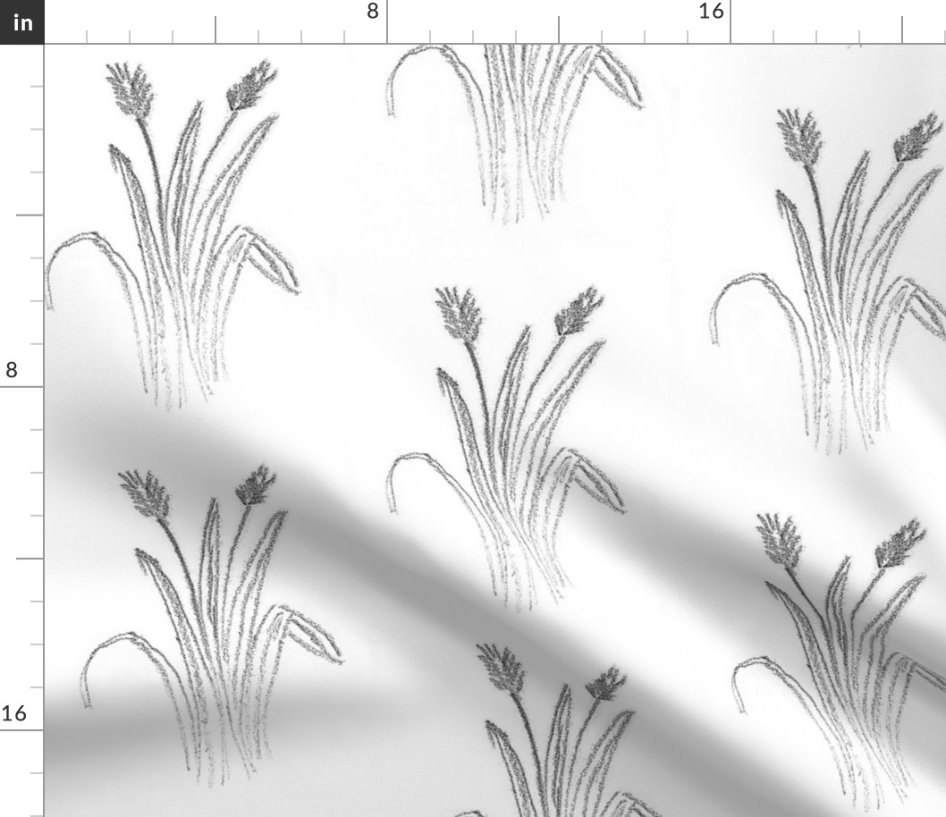wheat sketch