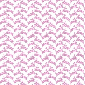 bunny hop/fuchsia on white/small