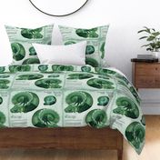 Sleeping dragon pillow green - fat quarter Petal Signature Cotton