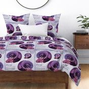 Sleeping dragon pillow pink purple - fat quarter Petal Signature Cotton