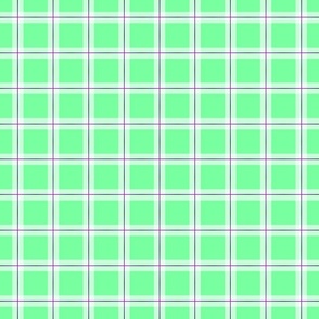 green plaid with purple