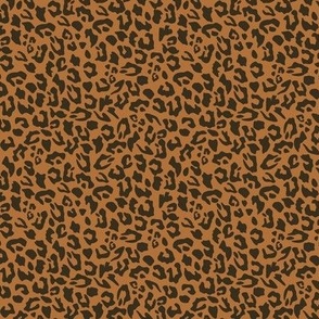 animal leopard 