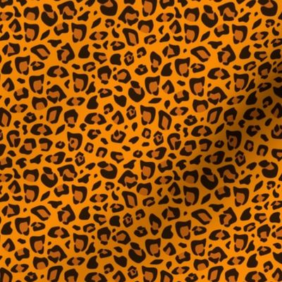Cheetah, Leopard