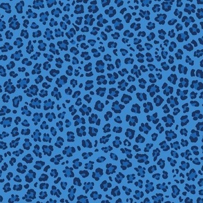 Leopard Print - BYU Blue