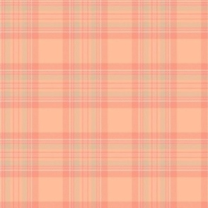 (small) Peachy Love Plaid / Pantone Color of the Year 2024: ‘Peach Fuzz’  / small scale 