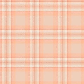 (small) Peachy Plaid / Pantone Color of the Year 2024: ‘Peach Fuzz’  / small scale