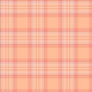 (small) Peachy Love Plaid / Pantone Color of the Year 2024: ‘Peach Fuzz’  / small scale