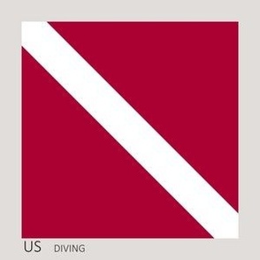 US Diving Nautical Flag - 5" flag on 6" square