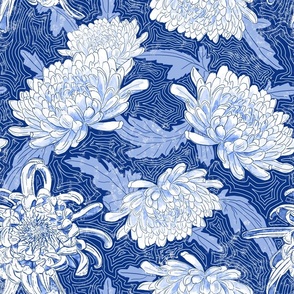 blue  chrysanthemums