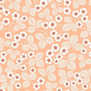 Cinquefoil flowers - Medium Scale - Peach Fuzz Apricot White terracotta Strawberry - Floral Flowers