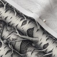 Birch Trees in Black White and Gray